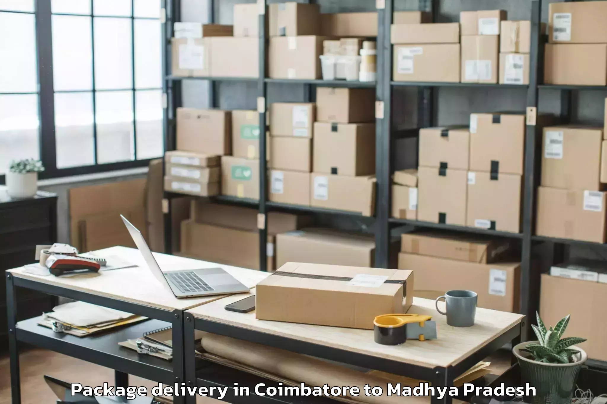 Trusted Coimbatore to Mahidpur Package Delivery